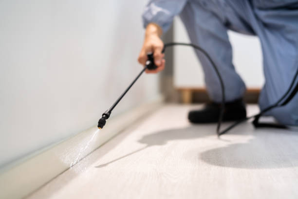 Licensed Pest Control service in Palm Harbor, FL - Show Me Pest Control
