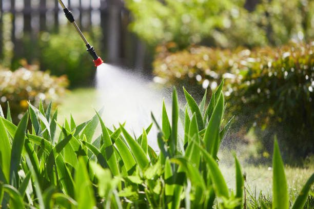 24/7 Emergency Mosquito Control experts in Palm Harbor, FL