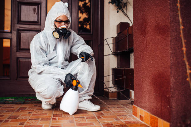 Reliable Mosquito Control contractor in Palm Harbor, FL by Show Me Pest Control